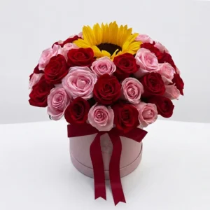 BOMBÓN ROSAS 1 GIRASOL