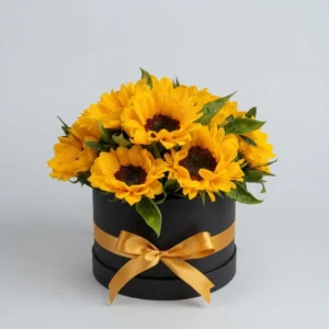 CAJA DE GIRASOLES