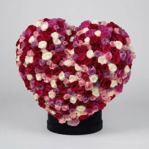 MEGA CORAZÓN MULTICOLOR
