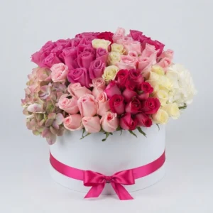 PLAX DE ROSAS